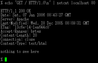 windows netcat command